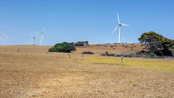 Flera vindkraftverk. Alternativ kraft — Stockfoto