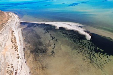 Batı Avustralya'da Denham