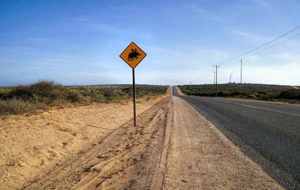 Panneau de Bilby sur la route en Australie Occidentale . — Photo