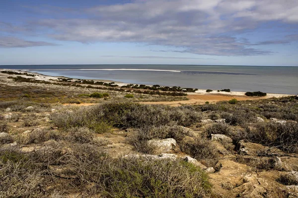 Vista dal belvedere di Denham nella costa occidentale dell'Australia occidentale — Foto Stock