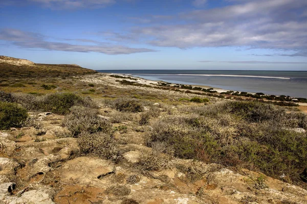 Mirador de Denham en Australia Occidental — Foto de Stock