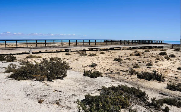 Hamelin Pool boardwalk — Stock Photo, Image