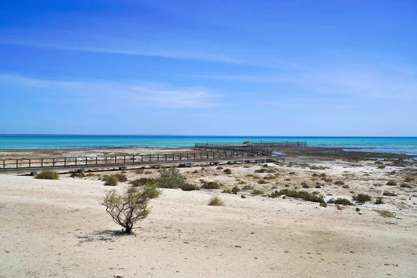 沙湾地区的文物?已列入名单的哈姆林水塘 — 图库照片