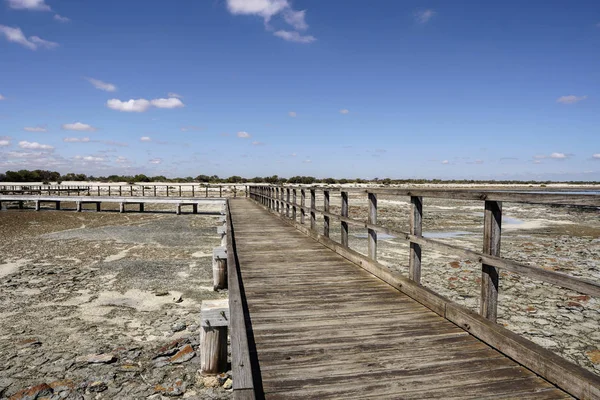 Hamelin pool marine nature reserve westaustralien — Stockfoto