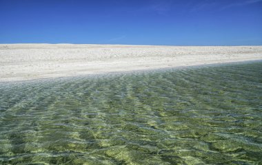 Denham Wa yakınlarındaki Shell plajı