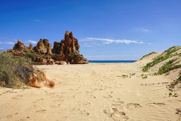 Pristine untouched rugged coastline sand dunes — Stock Photo, Image