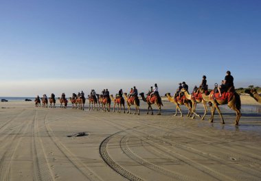 Kablo Plaj Süpürgesi