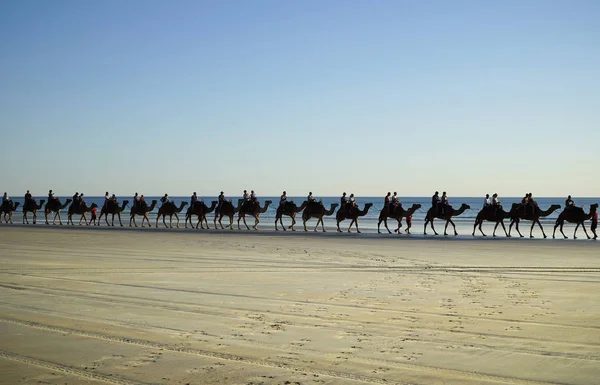 Західна Австралія Broome — стокове фото