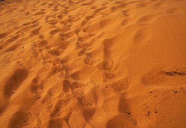 parlak turuncu kum tepeleri 