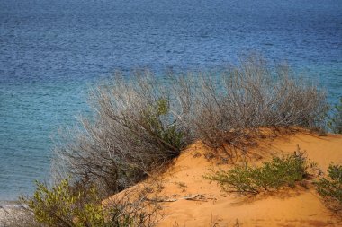 Cape Peron Ulusal Parkı 
