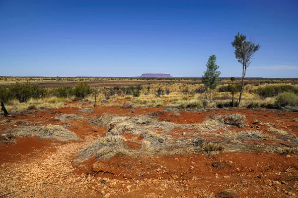 View of Mount Conner — Stock Photo, Image