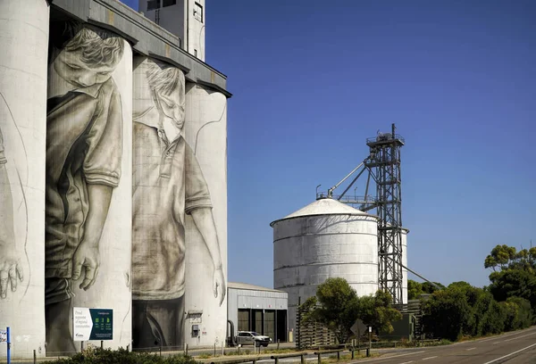 Silo v Jižní Austrálii v Coonalpynu — Stock fotografie