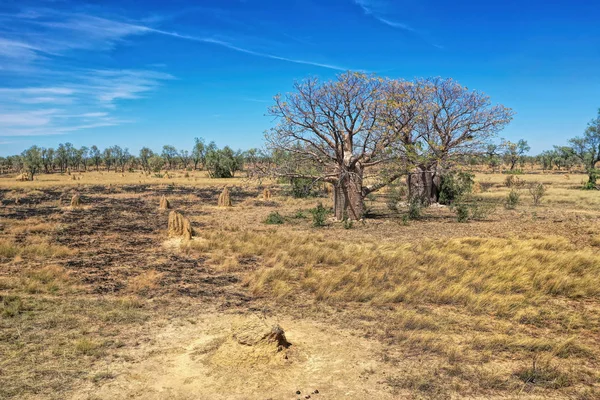 Gibb River Road w Kimberley Australii Zachodniej — Zdjęcie stockowe