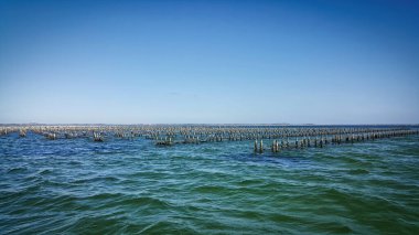 Güney Avustralya 'da Tabut Körfezi
