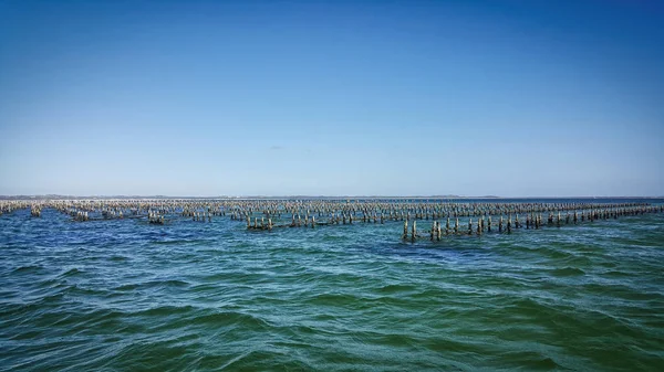 Coffin Bay South Australien — Stockfoto