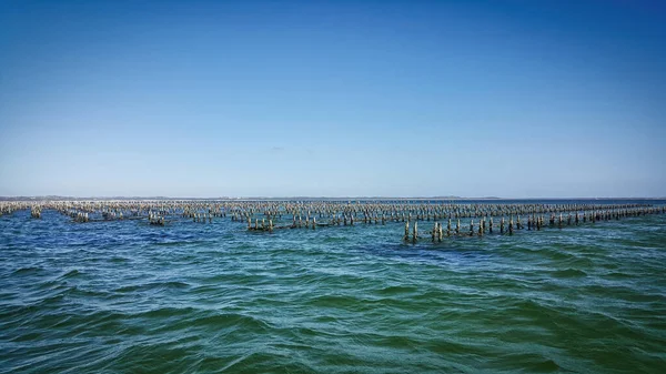 Coffin Bay South Australien — Stockfoto