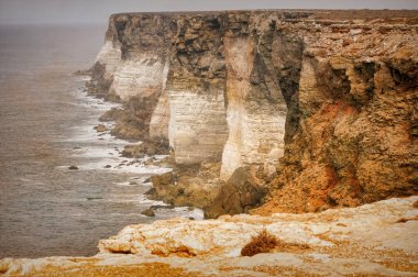 Nullarbor Kıyı Kayalıkları