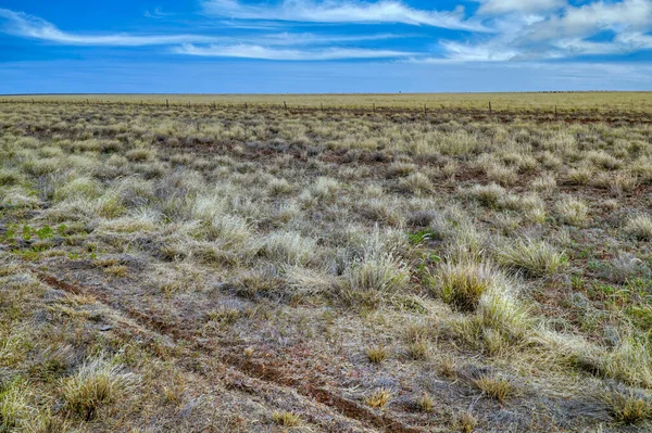 Australisk Vildmark Torrperioden Med Gles Vegetation — Stockfoto