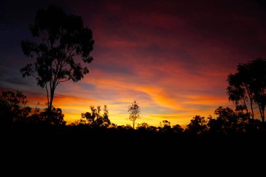 Kuzey Toprakları ve Queensland sınırında gün batımı