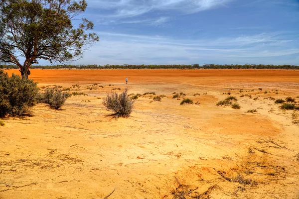 Harms Lake Rest Area Eyre Highway Western Australia — Stock Photo, Image