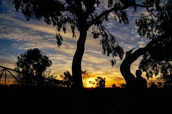 Sonnenuntergang Northern Territory Von Australien — Stockfoto