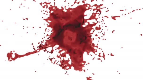 Бризки Червоної Фарби Або Крові Альфа Матовий — стокове відео