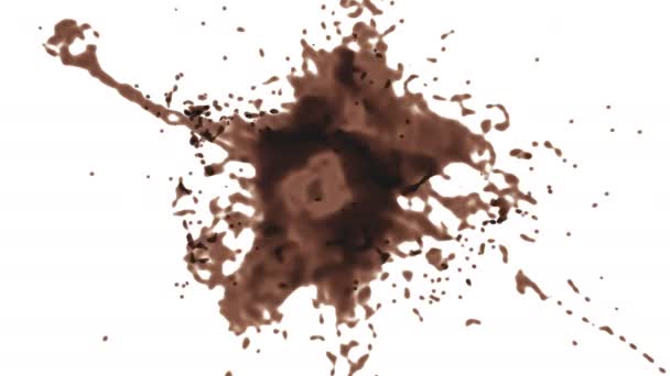 Gocce Cioccolato Cacao Cadono Dall Alto Alfa Matte — Video Stock