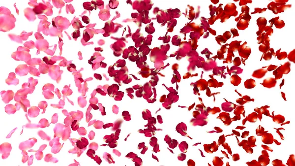 Falling Rose Petals Rendering — Stock Photo, Image