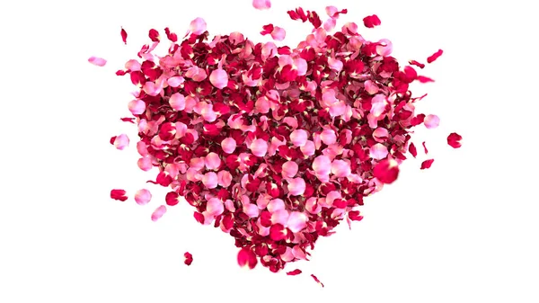 Cuore Foderato Con Petali Rosa Rendering — Foto Stock