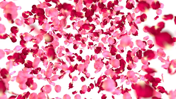 Rose Petals Background Rendering — Stock Photo, Image