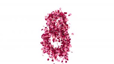 8 Mart Kadınlar Günü. Şekil 8 gül yaprakları