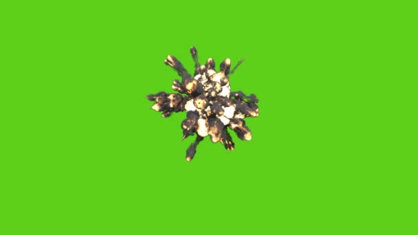 Grote Explosie Met Zwarte Rook Groen — Stockvideo