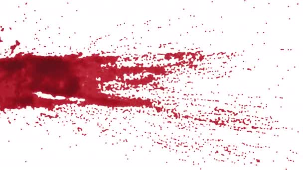 Spatter Red Paint Blood 60Fps — Stock Video