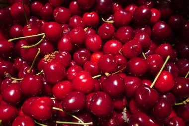 Arka plan için taze hasat kiraz