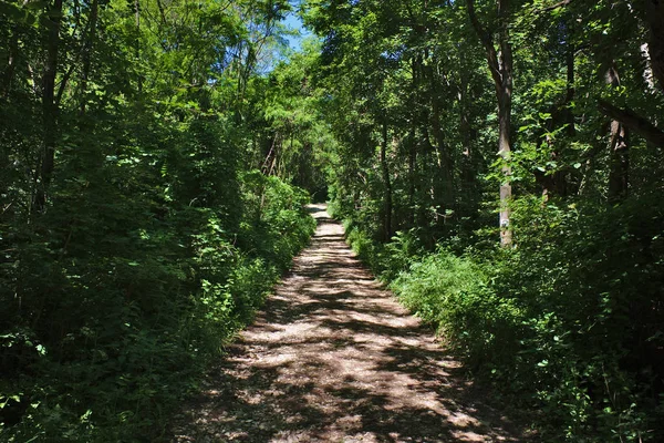 Forest Bike Tourist Path — Stock Photo, Image