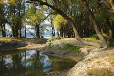 Durgun, Danube Nehri kıyısında Macaristan