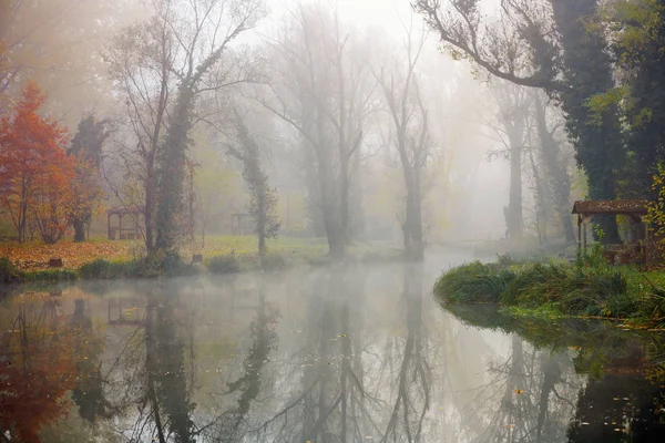 Hermoso paisaje de un lago de otoño con bosque y niebla Imágenes de stock libres de derechos