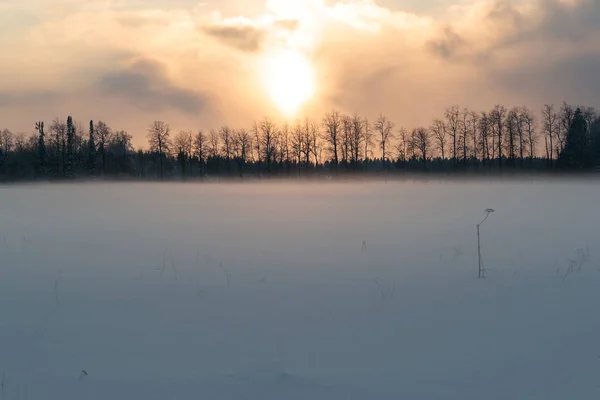 Solnedgången mot bakgrund av ett snötäckta fält och träd i fjärran — Stockfoto