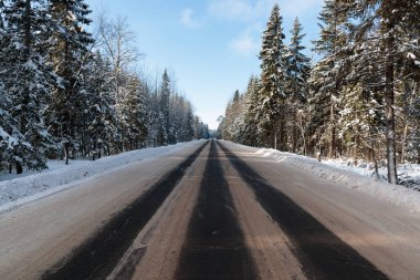 Ormanın ortasında kış zaman track