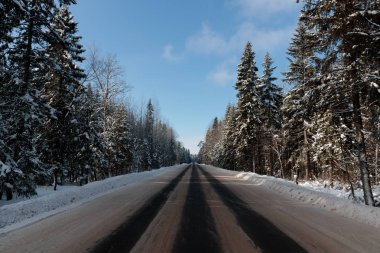 Ormanın ortasında kış zaman track