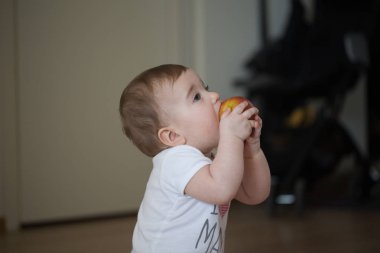 küçük çocuk ve onun ellerini elma tutan kemiren