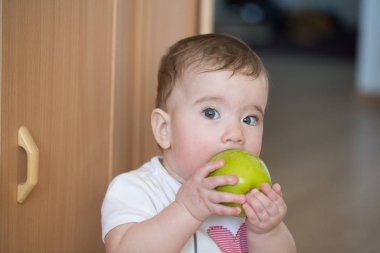 küçük çocuk ve onun ellerini elma tutan kemiren