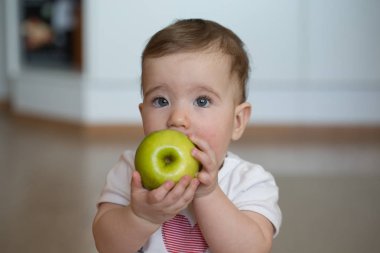 küçük çocuk ve onun ellerini elma tutan kemiren