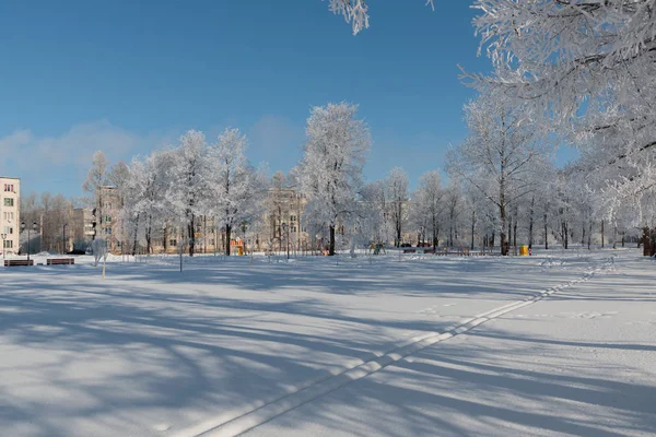 Lush trees covered with snow in the city — Stock Photo, Image