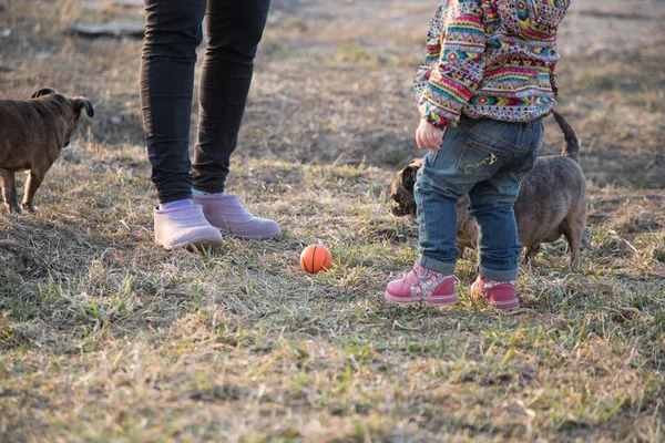 Legs of mom and little daughter on the street and also two dogs — Stock Photo, Image