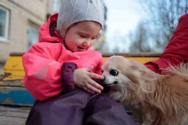 Menina pequena e doce com um cão fofo — Fotografia de Stock