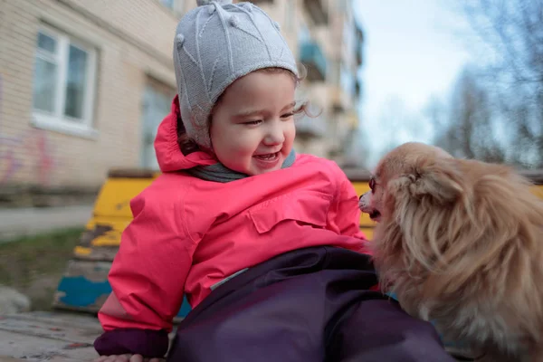 Small and sweet girl with a fluffy dog — Stock Photo, Image