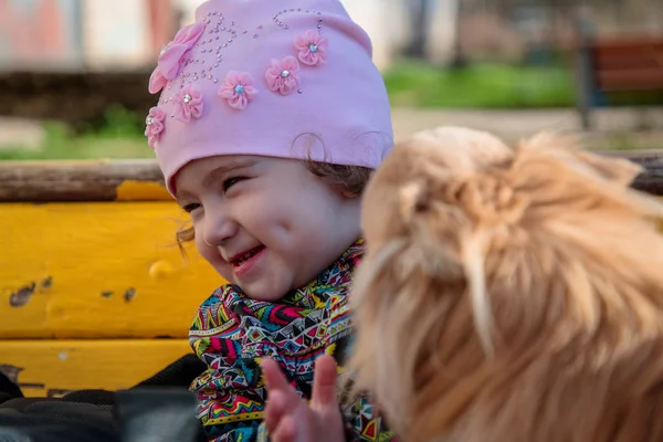 Tüylü bir köpek ile küçük ve tatlı kız — Stok fotoğraf