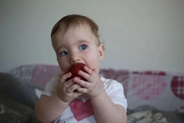 Criança pequena segura suas mãos maçã e roer — Fotografia de Stock