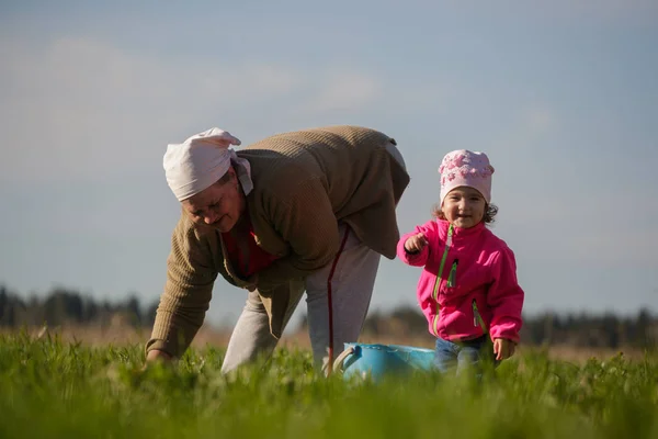 Grandmother and little granddaughter working in the field — Stock Photo, Image